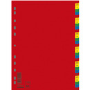 Przekadki DONAU, PP, A4, 230x297mm, 1-31, 31 kart, mix kolorw