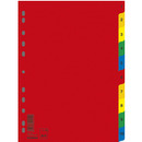 Przekadki DONAU, PP, A4, 230x297mm, 1-10, 10 kart, mix kolorw